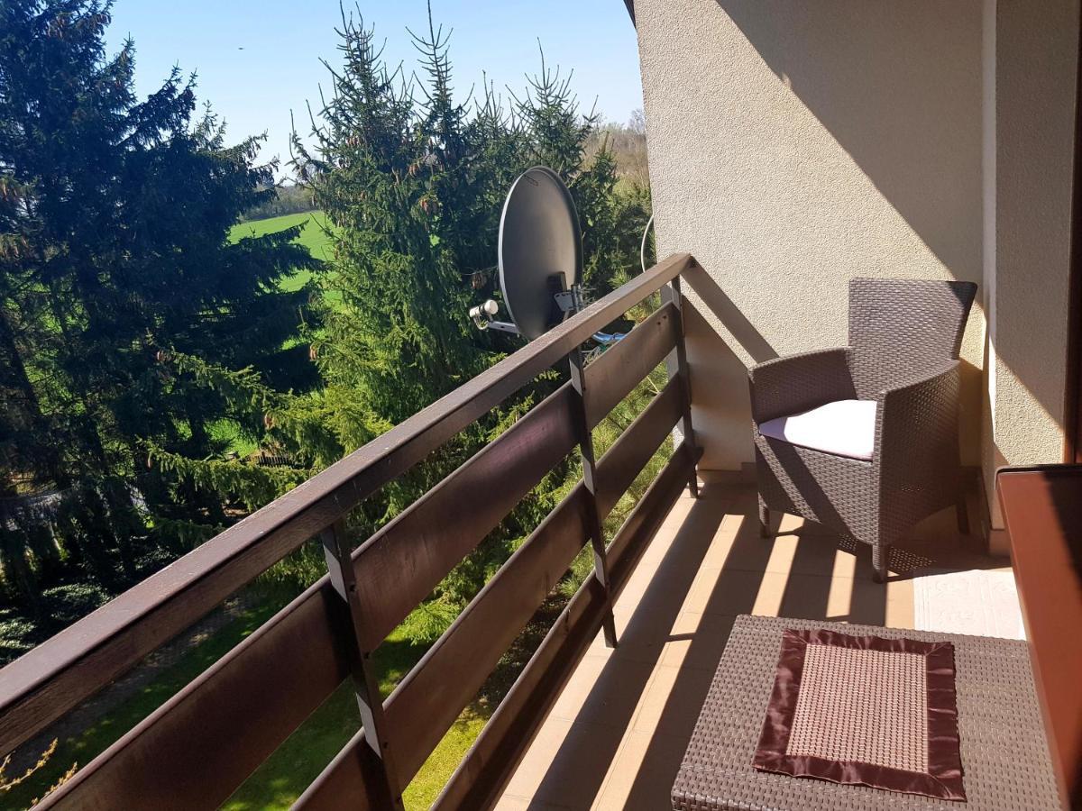 Swierkowe Zacisze Nałęczów المظهر الخارجي الصورة